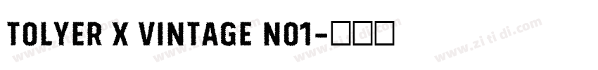 Tolyer X Vintage No1字体转换